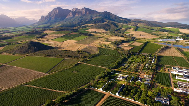 Ashbourne Guest House: A Refined Franschhoek Escape in the Heart of the Winelands 